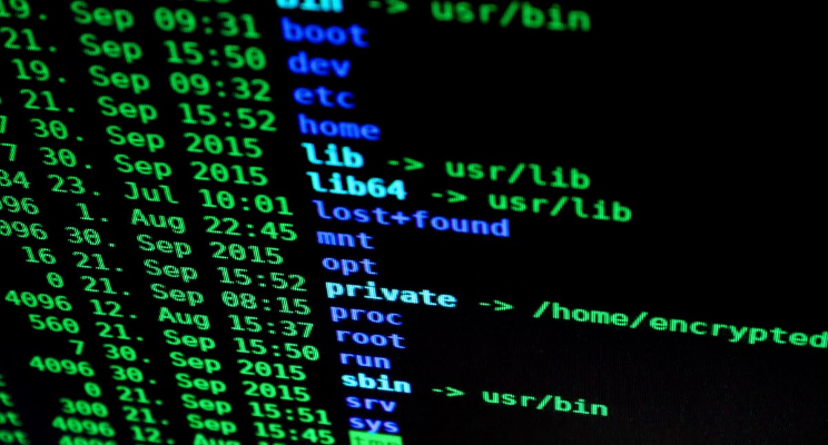 Implementing HTTPS: Web Security and SSL/TLS for Public-Interest Platforms